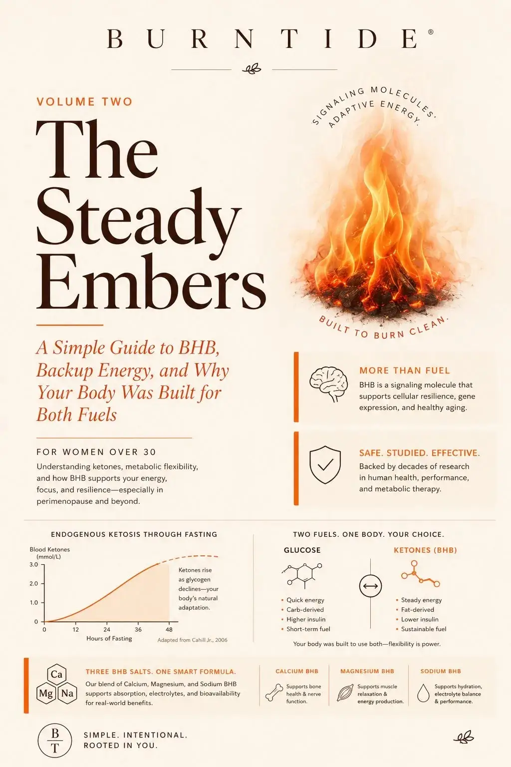 Burntide Volume Two The Steady Embers